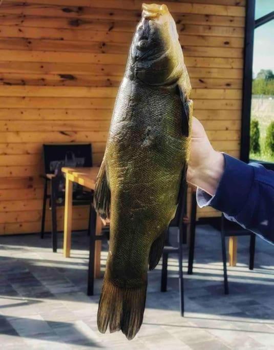 Zakatek Na Mazurach Ii Kalinowo (Elk)
